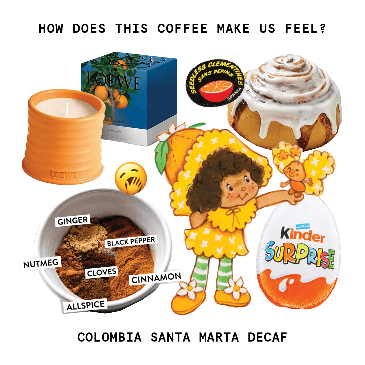 Touchy Coffee — Touchy Coffee Colombia Santa Marta Decaf